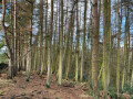 October to November 2025 - Yorkshire (from Various 2025) - added 02 July 2026 at 09:59